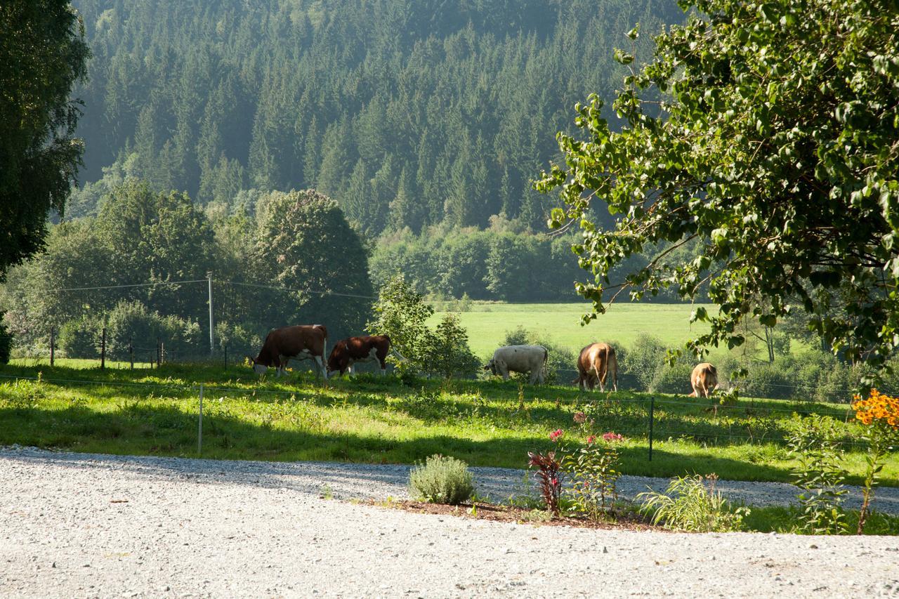 Landhotel Bayerwald Grafling Eksteriør billede